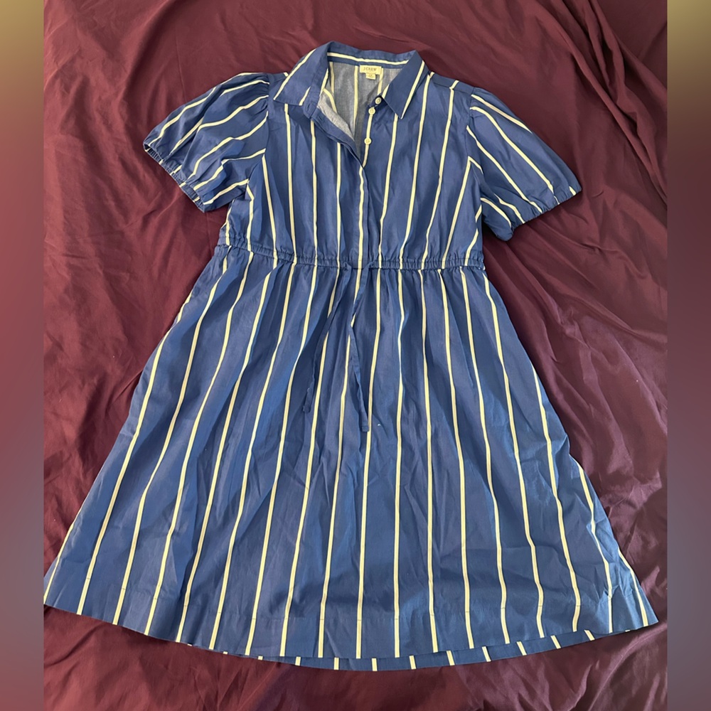 J. Crew Blue and White Striped Shirt